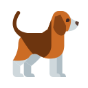 Eco-Friendly and Green Cleaning 5 a dog with white legs and brown and white fur