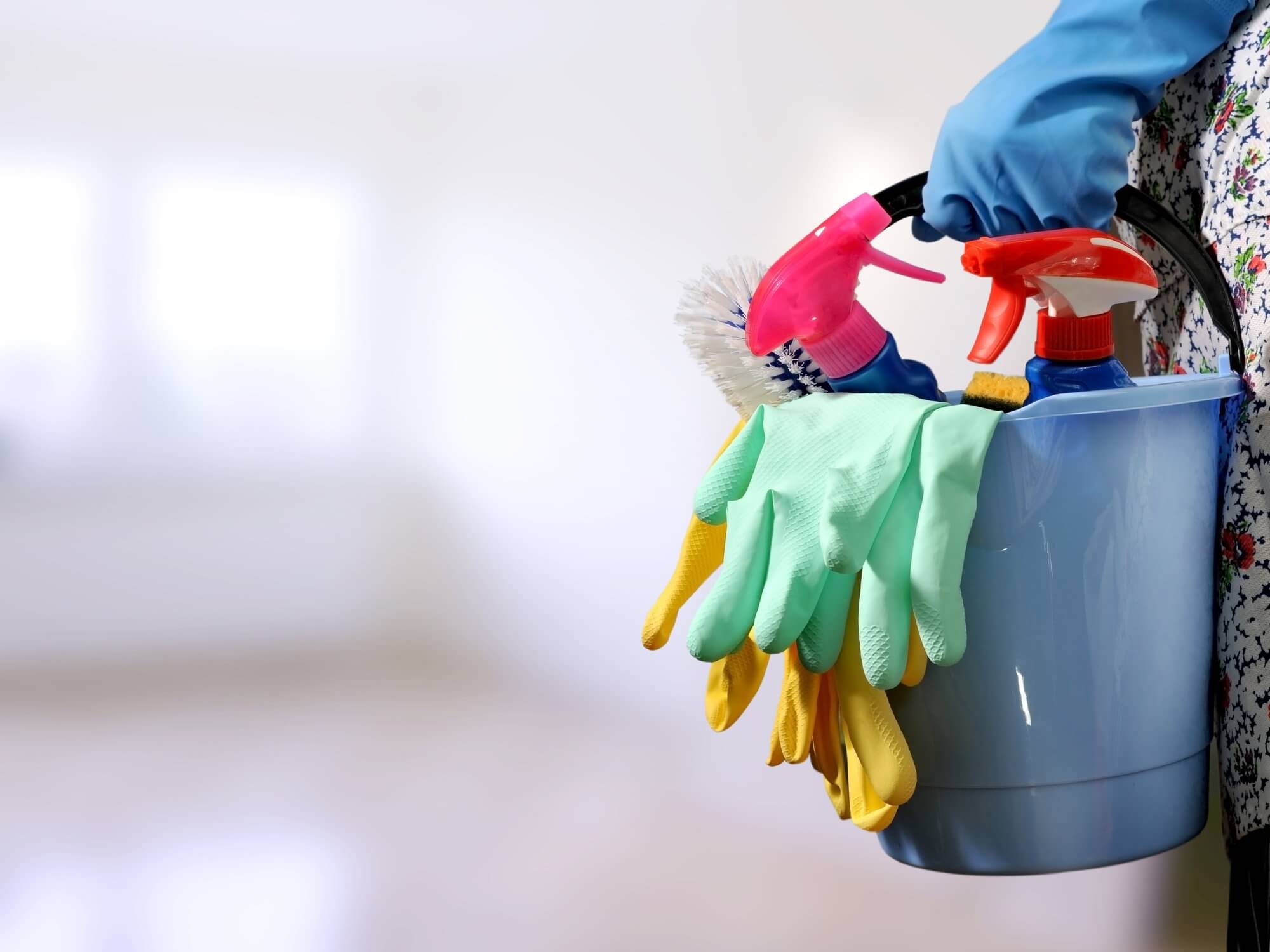 Professional Cleaning Services vs. DIY Cleaning